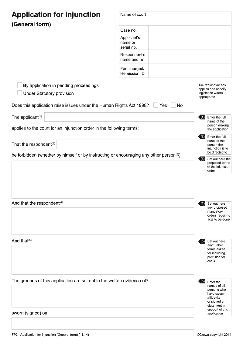 FP3 Application for injunction General form preview